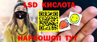 шишки Тверь
