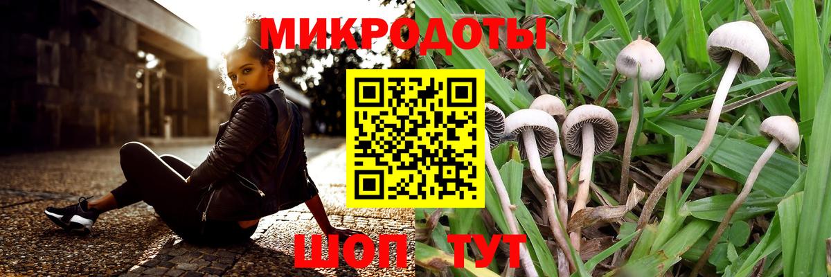 Галлюциногенные грибы Psilocybine cubensis Новоуральск